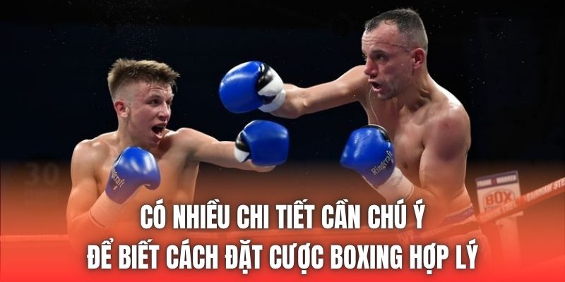 Có nhiều chi tiết cần chú ý để biết cách đặt cược boxing hợp lý