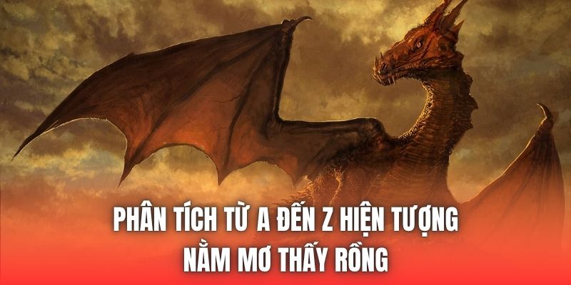 Phân tích từ A đến Z hiện tượng nằm mơ thấy rồng